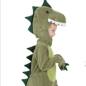 T-Rex Costume